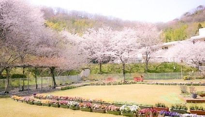 四季とともに過ごす庭のある暮らし